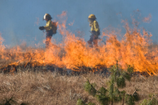 Fire Safety Tips for Summer in Brisbane